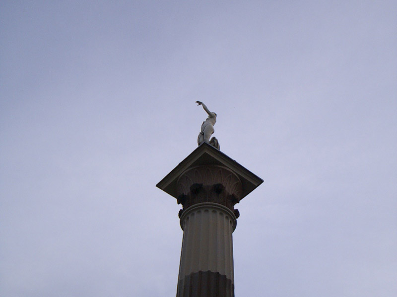 Folly statue column, Centennial Park Sydney